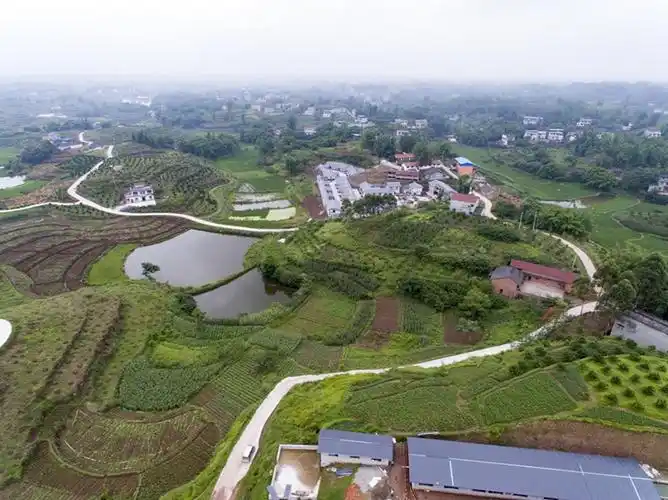 骑龙镇 - 机构名录 - 富顺县人民政府网站