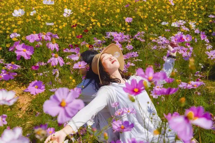 《兴国美人美景》之六十八——花海又艳田庄上(2)