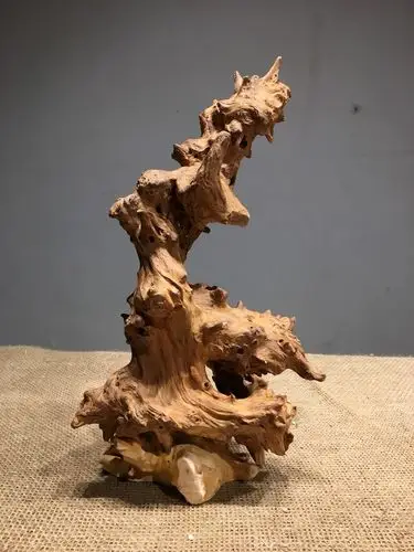 天然随形树根原木枯木文房茶宠摆件创意家居饰品摆件