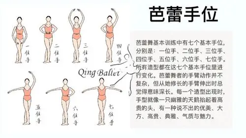 今日课堂芭蕾手位厦门芭蕾
