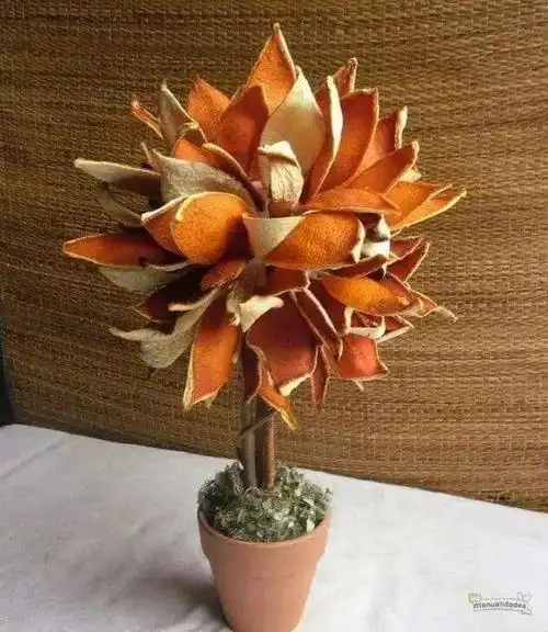 生活小tips橘子皮千万别扔好用的地方太多