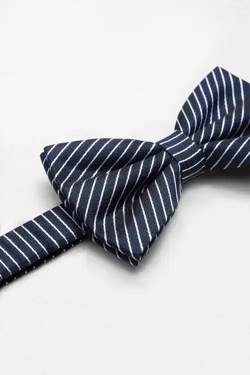 品类 领结 商品内容 尺寸 材质 衬里/30%羊毛 70%聚酯纤维 款式 适用