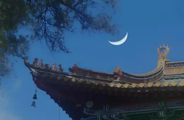 归去来61秋夜呓语