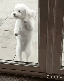 245_312竖版 竖屏gif 动态图 动图