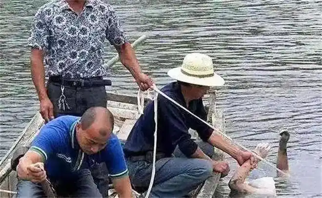 长江天价捞尸人尸臭洗不掉最怕遇到能听懂话的尸体
