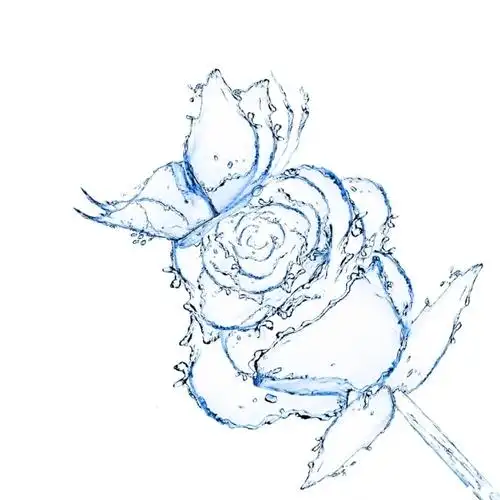 首页 高清图片 插画集 液态玫瑰 关 键 词: 创意,玫瑰花,爱情,水珠