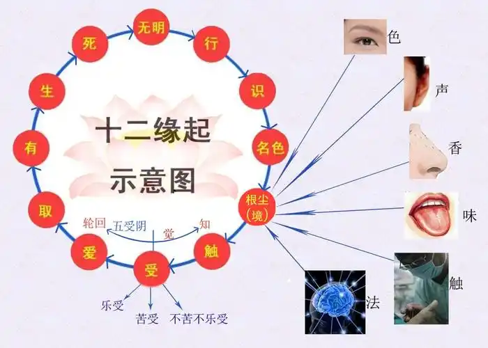 十二因缘(12颗寓意)
