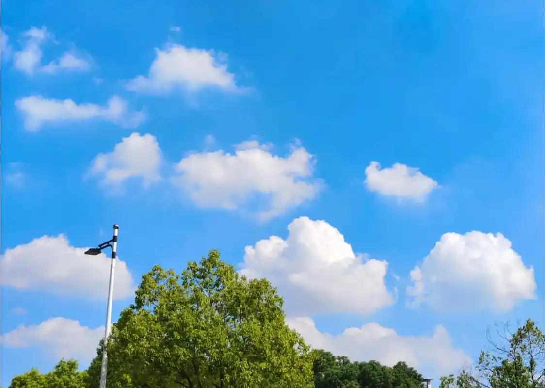 等天晴🌞.书上说:"喜欢拍天空的人,是心里装满了不羁的自由