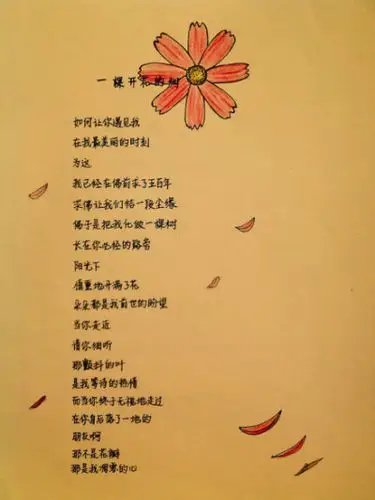 美好的手抄诗 《一棵开花的树》 诗的作者:席慕容.手抄本作者不详.