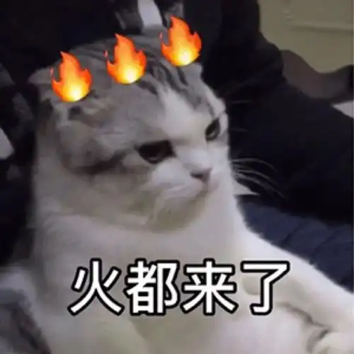 萌宠喵星人一肚子火火都来了呆萌憨憨gif动图_动态图_表情包下载_soo