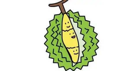 榴莲的品种简笔画