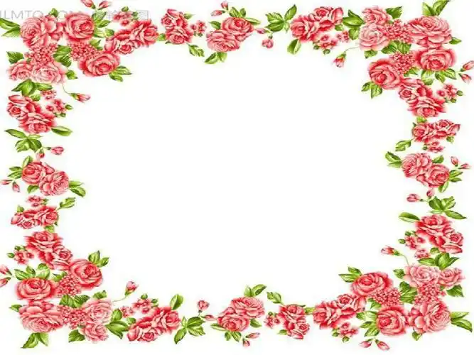 幻灯片ppt背景--(花卉边框2)