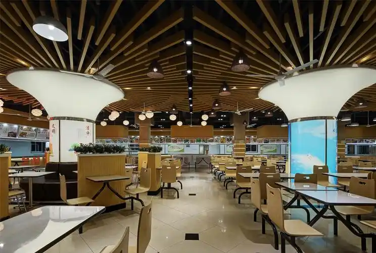 大学康城装修效果图