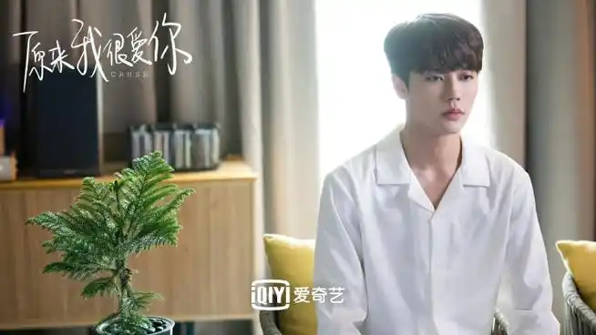 73穿白衬衫的少年,是最明媚的风景;在今年夏天遇见的苏念衾@林彦俊