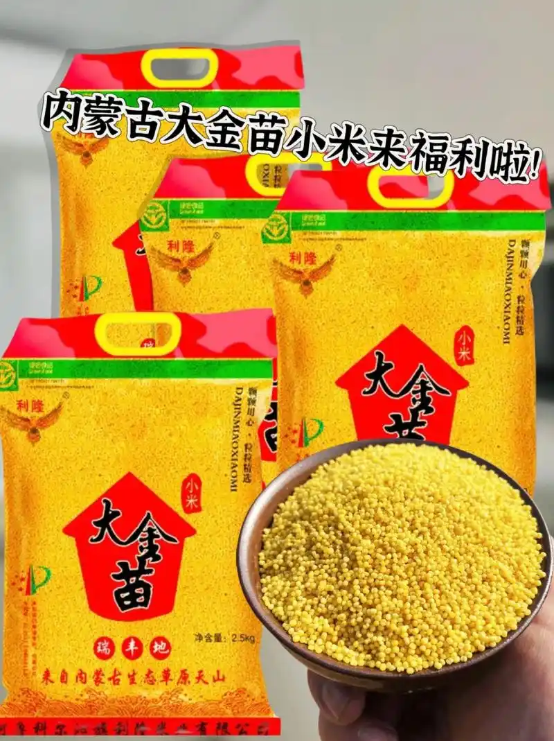 姐妹们,我很喜欢大金苗黄小米啦,内蒙古的黄小米,颗粒饱满