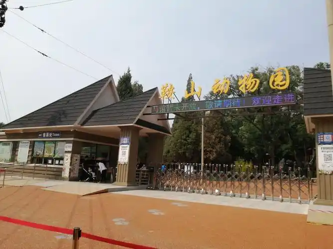 今天我带着孩子来到我小时候参观的动物园!