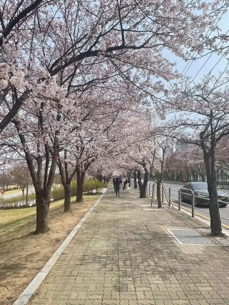 暖暖的春风里,轻轻地花开十里,春花春景什么最美.最美的还是你 - 抖音