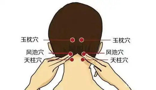 头顶藏着一个生发穴常安玉枕穴