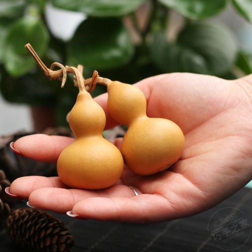 葫芦天然手捻草里金小文玩手把小美包邮葫芦