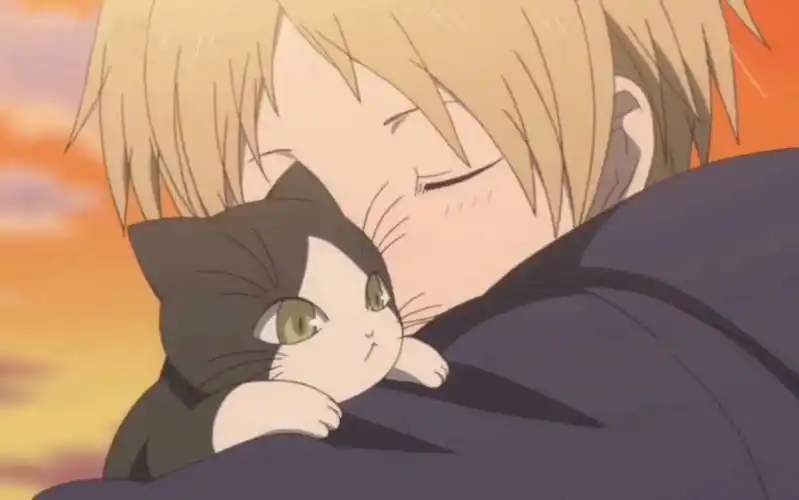 【夏目友人帐】树妖篇"我叫夏目贵志,能告诉我你的名字吗"