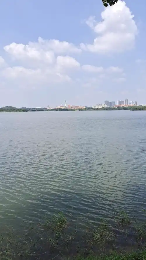 松山湖风景区松湖烟雨