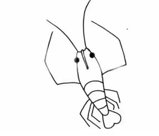 「动物篇」小虾的简笔画分解教程