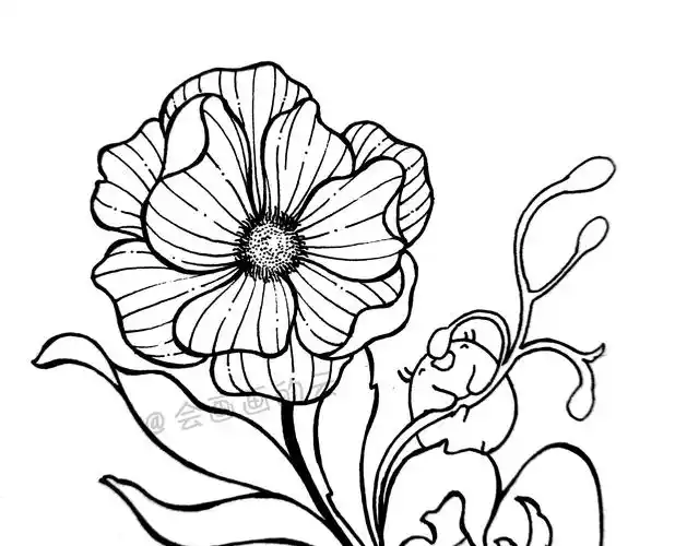 中性笔绘画过程图讲解