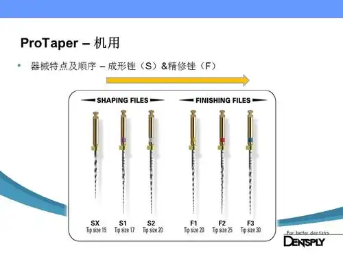 【口腔医学总结】protaper