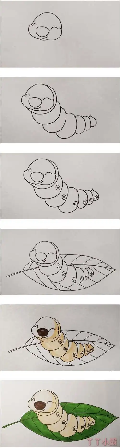 卡通蚕宝宝简笔画画法步骤教程涂色