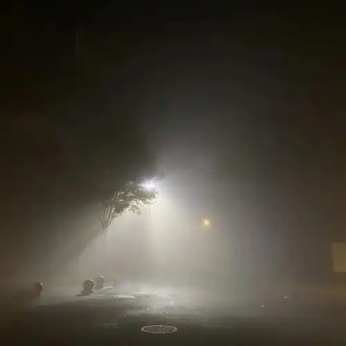 起雾啦看一看雾中天大