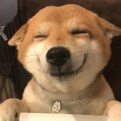 柴犬单身狗可爱的头像图片大全