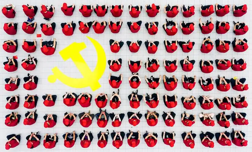 花田中,鲜艳的红花迎风怒放,中间金色的党徽闪耀,如同一面巨大的党旗