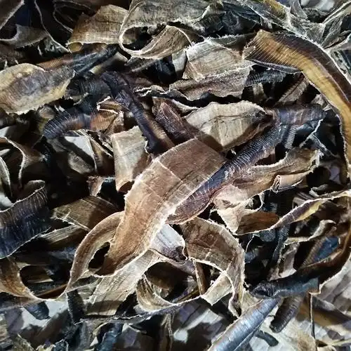 地龙 海南大地龙基本全开货 产地 海南省