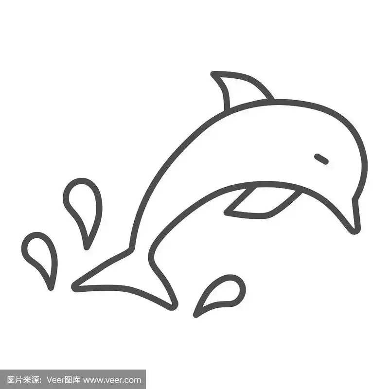 海豚,细的,轮廓,设计,海洋