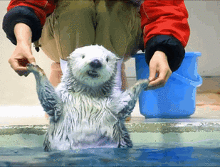 "男人最无能的表现是什么?"哈哈哈哈哈神评扎心了