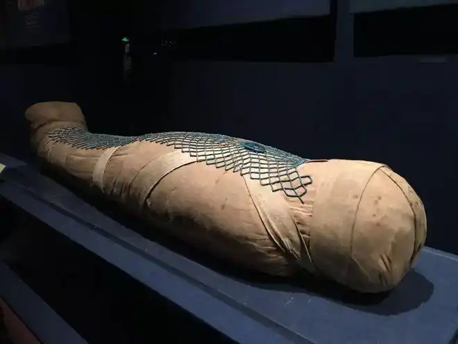 终于看到了活的木乃伊320