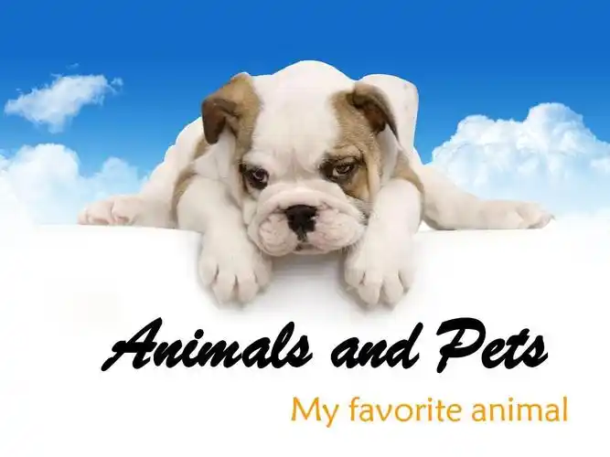 animals and pets