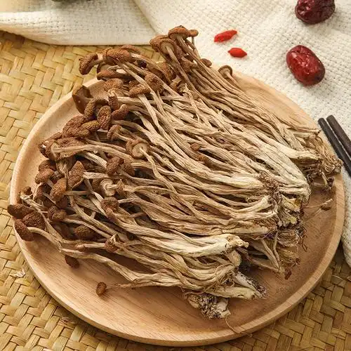 古田剪根不开伞茶树菇干货500g茶薪菇1斤农家新鲜菌菇特选级特产