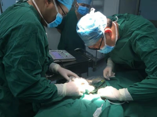 介入血管心脏外科开展首例儿童型静脉给药装置植入术