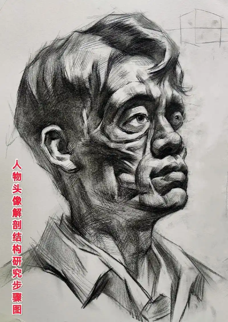 人物素描头像解剖结构研究步骤图