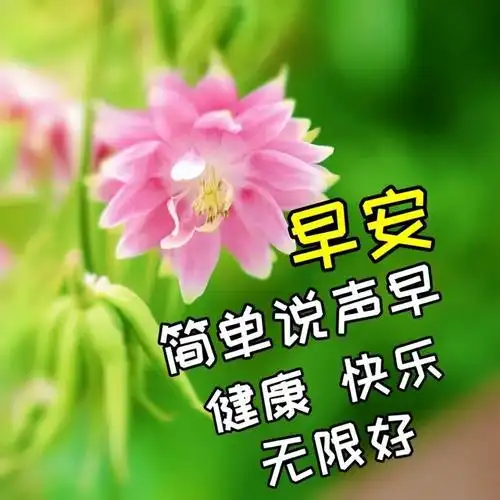 暖心的早安问候语录