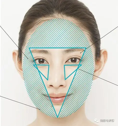 1/粉底涂在脸部倒三角区域