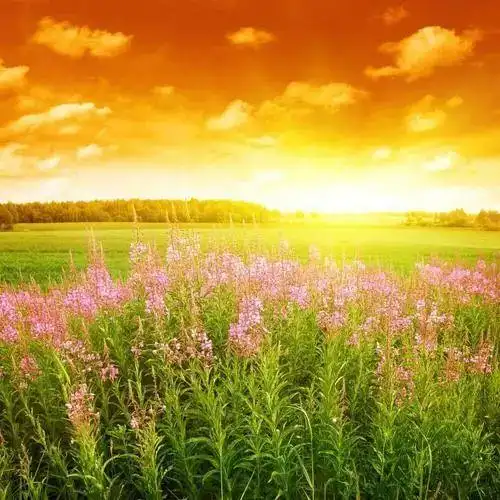 新的一天,一路阳光,一路温暖