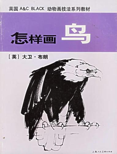 怎样画鸟