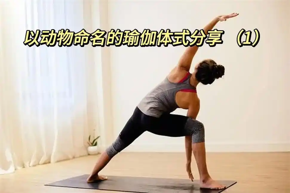 以瑜伽命名的体式分享 1.鹰式可能很难让人全神贯注,但这也是 - 抖音