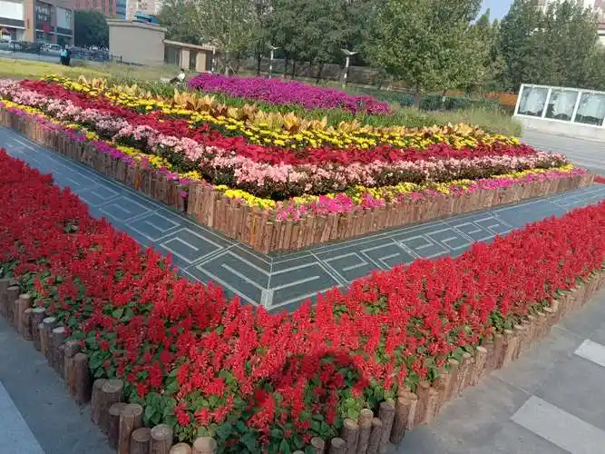 花园在建造的时候要注意土壤问题,好的土壤能更好的延长你种植花的