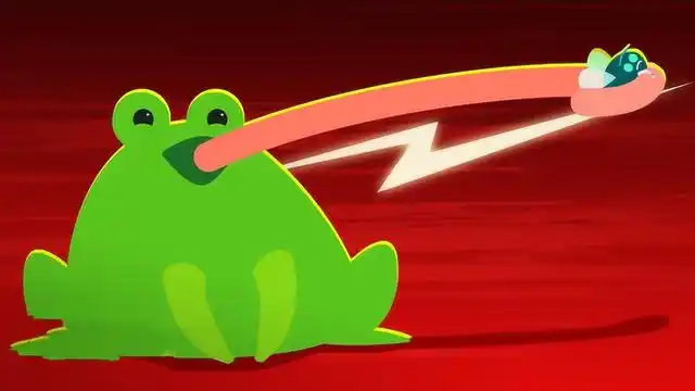 青蛙的舌头,你真的了解过吗?