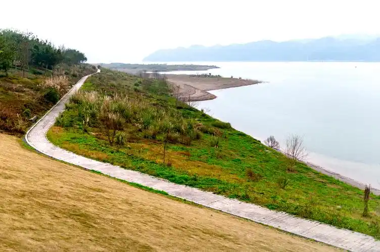 重庆南岸广阳岛 - 陈哥307 - 图虫