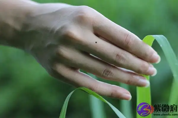 女人右手中指有痣有哪些说法