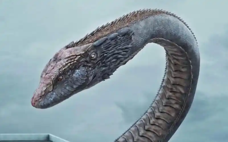 恐怖,变异大麻蛇